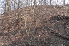 2012-03-18 Stara Rawa - grodzisko (22)