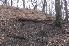 2012-03-18 Stara Rawa - grodzisko (23)