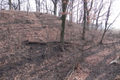 2012-03-18 Stara Rawa - grodzisko (25)