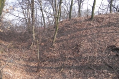 2012-03-18 Stara Rawa - grodzisko (26)