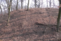 2012-03-18 Stara Rawa - grodzisko (27)