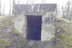 2010-01-04 Ujazd - pałac i młyn (33)