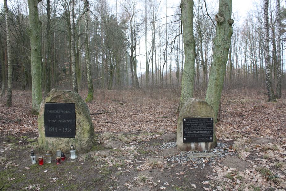 2019-02-15 Stolniki - cm. z I wojny światowej (20)