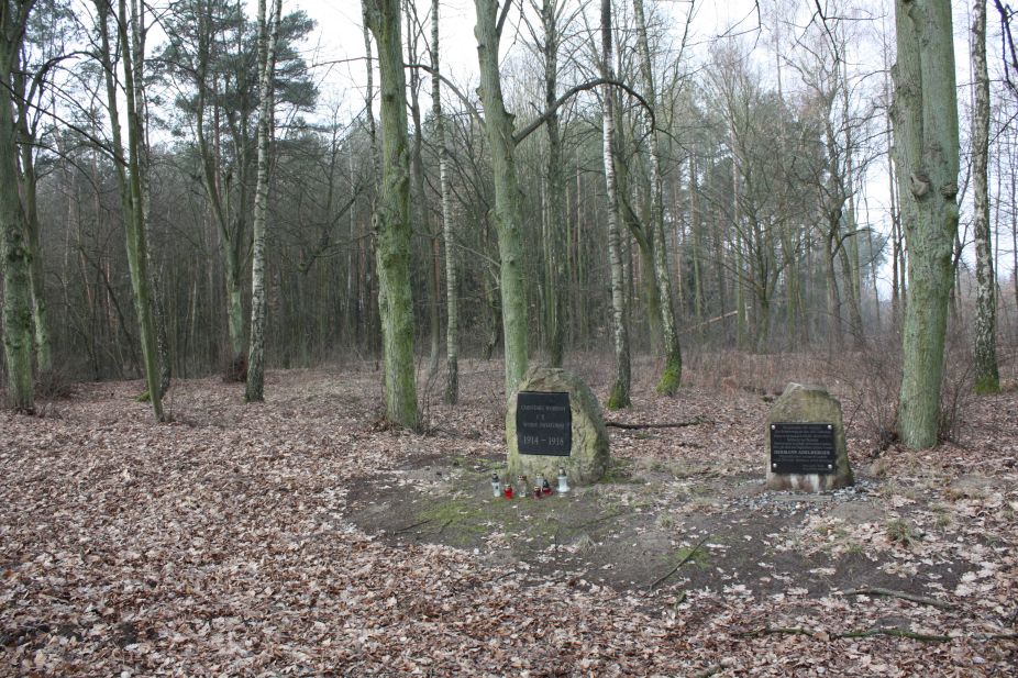 2019-02-15 Stolniki - cm. z I wojny światowej (22)