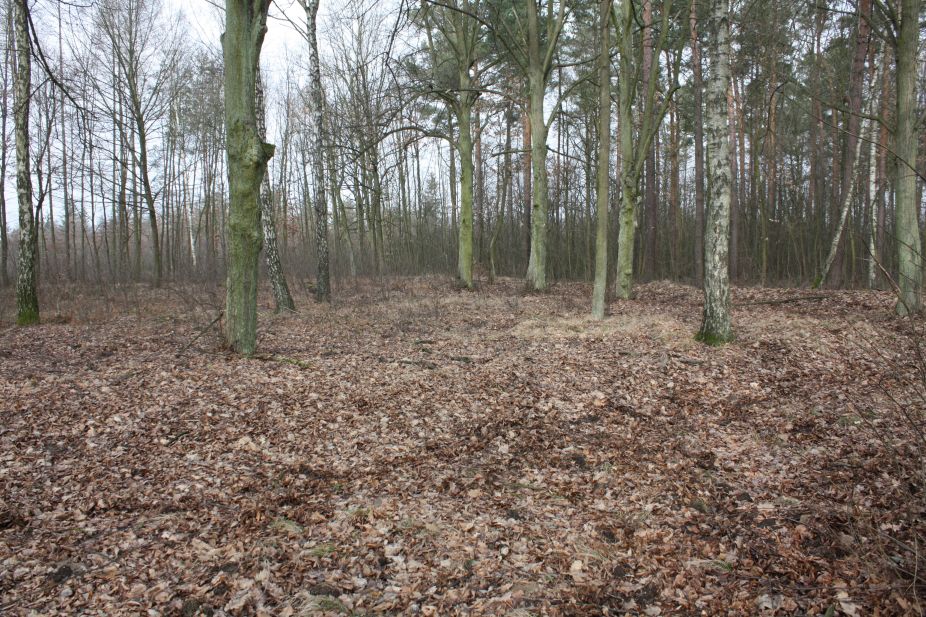 2019-02-15 Stolniki - cm. z I wojny światowej (23)