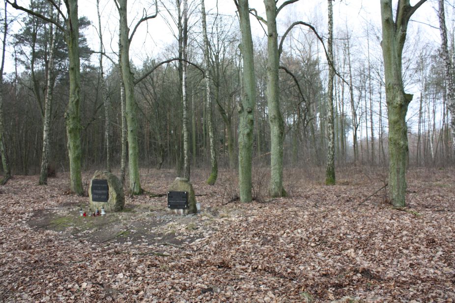 2019-02-15 Stolniki - cm. z I wojny światowej (24)