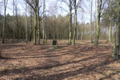 2011-03-23 Stolniki - cm. z I wojny światowej (1)