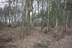 2019-02-15 Stolniki - cm. z I wojny światowej (1)