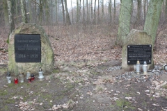 2019-02-15 Stolniki - cm. z I wojny światowej (11)