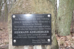 2019-02-15 Stolniki - cm. z I wojny światowej (15)