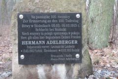 2019-02-15 Stolniki - cm. z I wojny światowej (17)