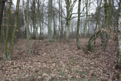 2019-02-15 Stolniki - cm. z I wojny światowej (2)