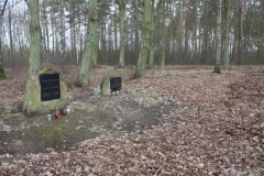 2019-02-15 Stolniki - cm. z I wojny światowej (21)