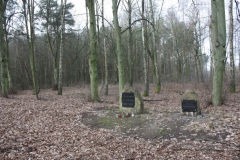 2019-02-15 Stolniki - cm. z I wojny światowej (22)