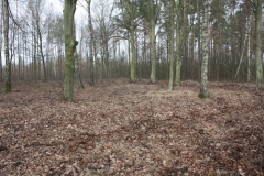 2019-02-15 Stolniki - cm. z I wojny światowej (23)