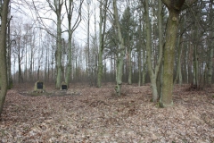 2019-02-15 Stolniki - cm. z I wojny światowej (25)