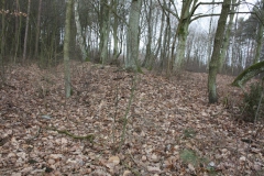 2019-02-15 Stolniki - cm. z I wojny światowej (3)