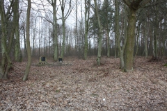 2019-02-15 Stolniki - cm. z I wojny światowej (5)