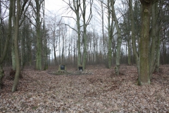 2019-02-15 Stolniki - cm. z I wojny światowej (6)