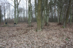 2019-02-15 Stolniki - cm. z I wojny światowej (7)