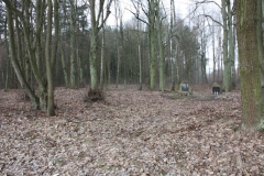 2019-02-15 Stolniki - cm. z I wojny światowej (8)