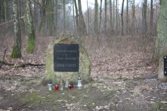 2019-02-15 Stolniki - cm. z I wojny światowej (9)