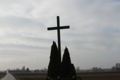 2019-02-15 Jankowice krzyż nr1 (2)