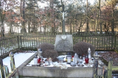 2019-02-10 Złota - pomnik (14)