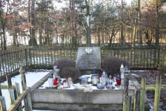 2019-02-10 Złota - pomnik (6)