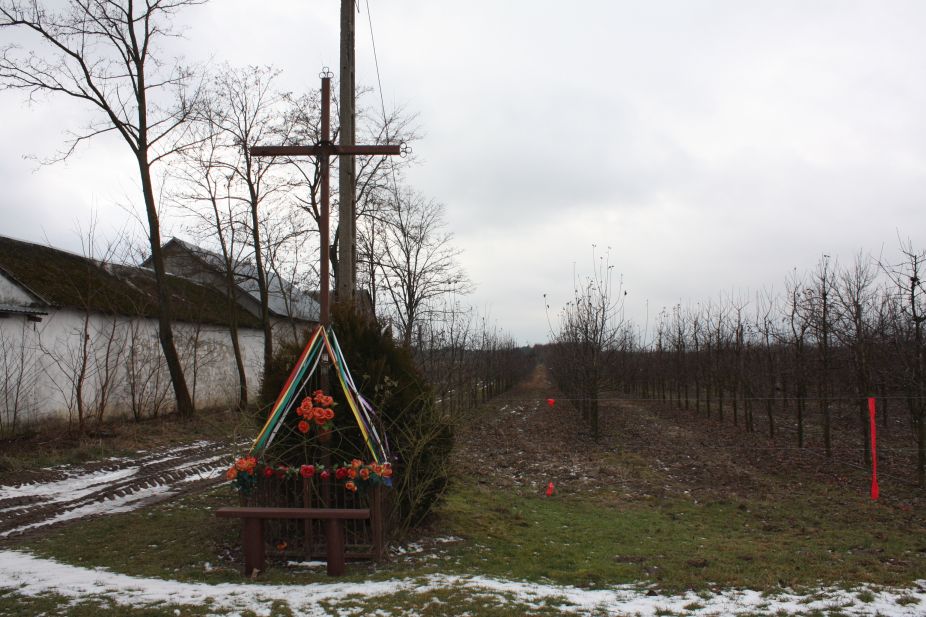 2019-01-29 Jeziorzec krzyż nr1 (1)