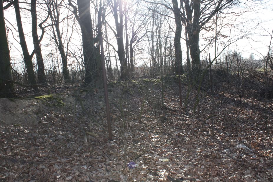 2019-02-23 Annosław - cm. z I wojny światowej (49)