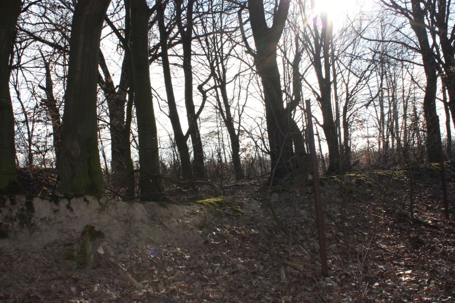 2019-02-23 Annosław - cm. z I wojny światowej (50)