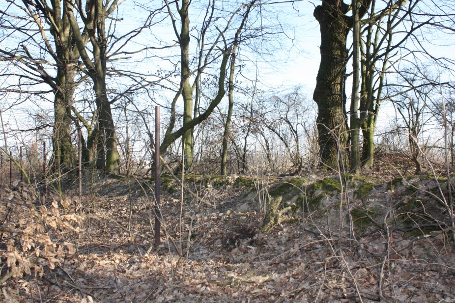 2019-02-23 Annosław - cm. z I wojny światowej (51)