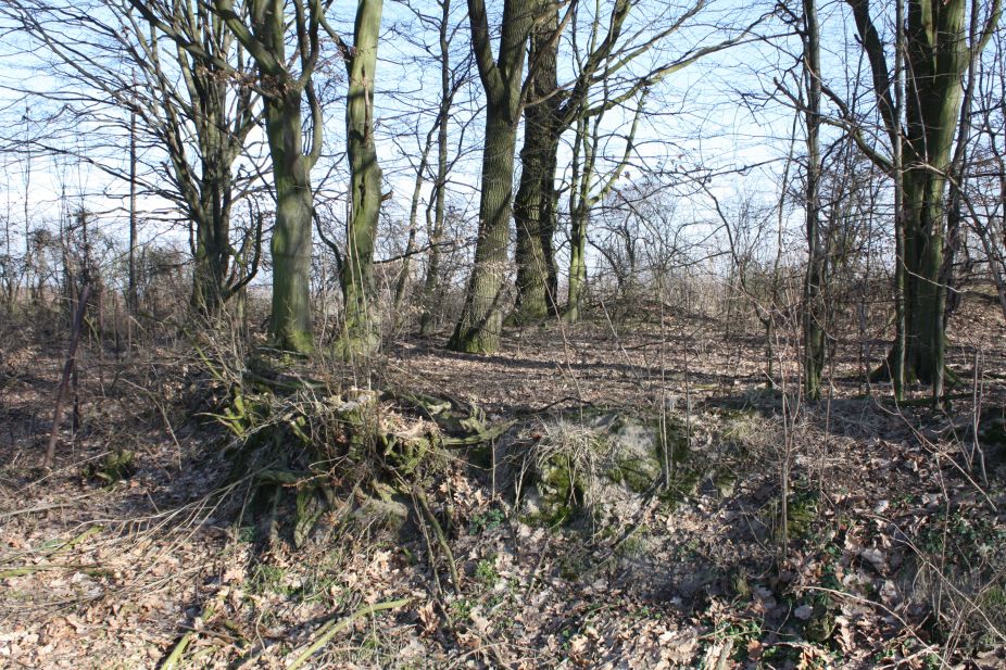 2019-02-23 Annosław - cm. z I wojny światowej (53)