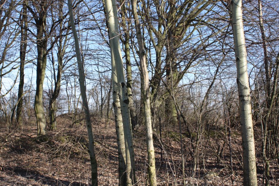 2019-02-23 Annosław - cm. z I wojny światowej (59)