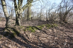 2019-02-23 Annosław - cm. z I wojny światowej (21)