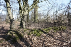 2019-02-23 Annosław - cm. z I wojny światowej (22)