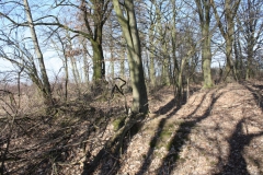 2019-02-23 Annosław - cm. z I wojny światowej (23)