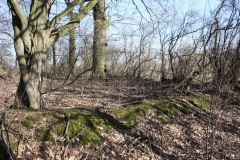 2019-02-23 Annosław - cm. z I wojny światowej (25)