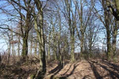 2019-02-23 Annosław - cm. z I wojny światowej (26)