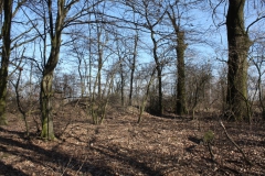 2019-02-23 Annosław - cm. z I wojny światowej (29)