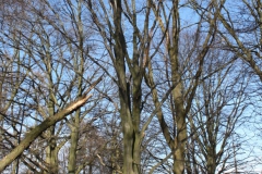 2019-02-23 Annosław - cm. z I wojny światowej (32)