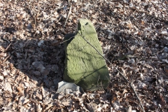 2019-02-23 Annosław - cm. z I wojny światowej (33)