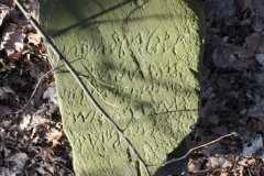 2019-02-23 Annosław - cm. z I wojny światowej (34)