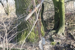 2019-02-23 Annosław - cm. z I wojny światowej (45)