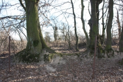 2019-02-23 Annosław - cm. z I wojny światowej (48)