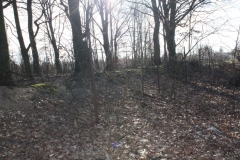 2019-02-23 Annosław - cm. z I wojny światowej (49)