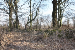 2019-02-23 Annosław - cm. z I wojny światowej (51)