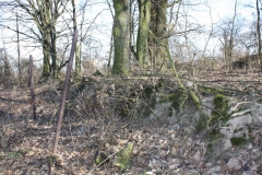 2019-02-23 Annosław - cm. z I wojny światowej (52)