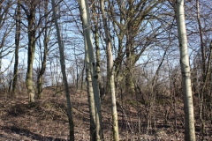 2019-02-23 Annosław - cm. z I wojny światowej (59)